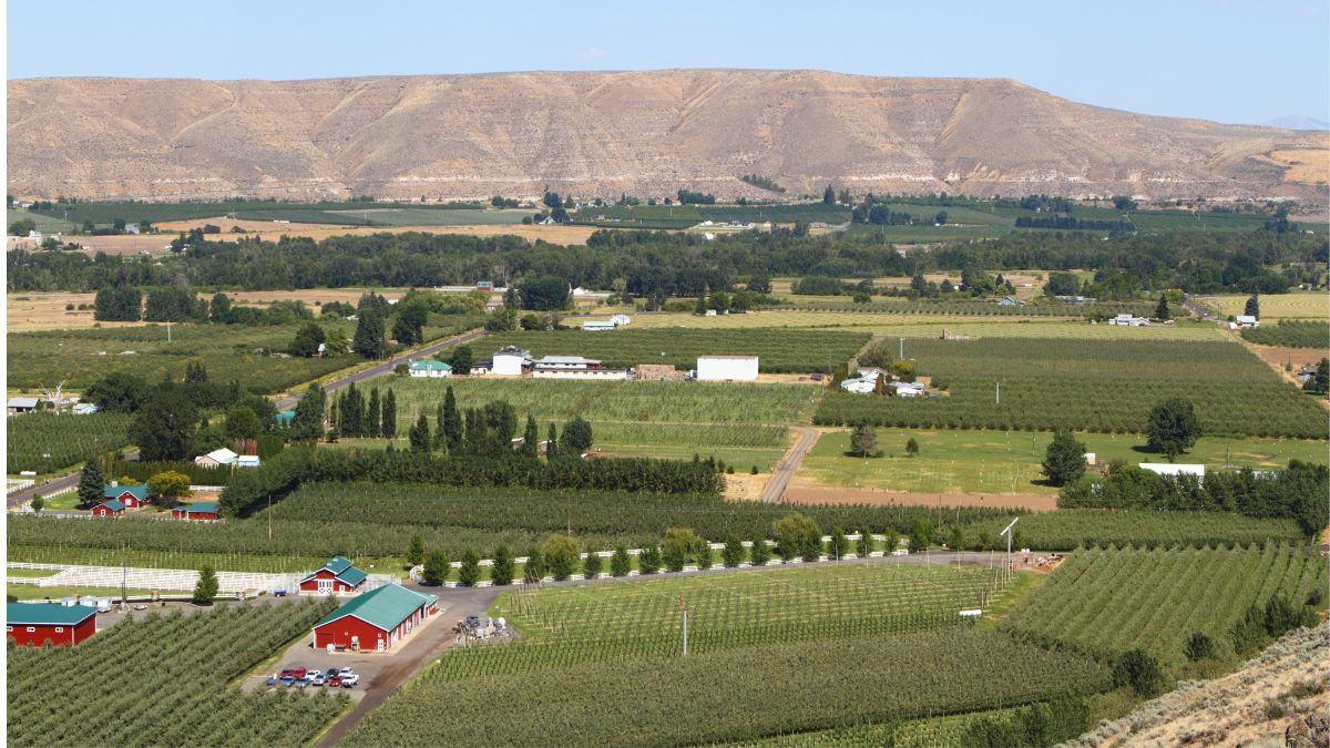view of Yakima WA farms including vineyards