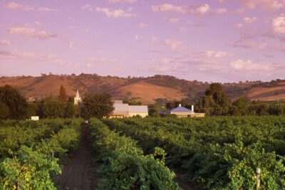 Australian Winery